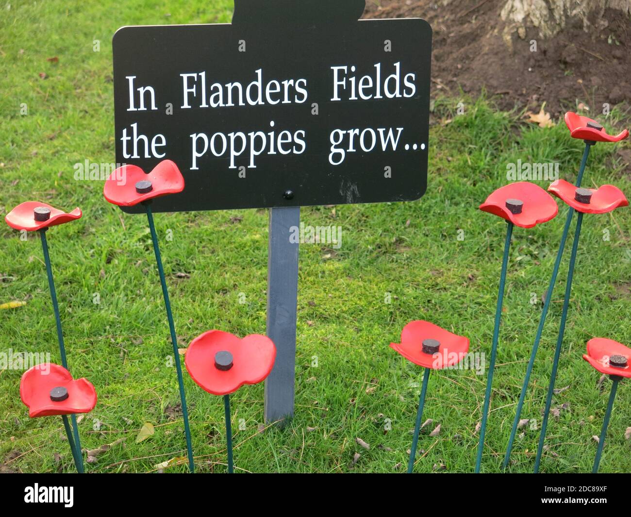 Flanders Fields High Resolution Stock Photography and Images Alamy