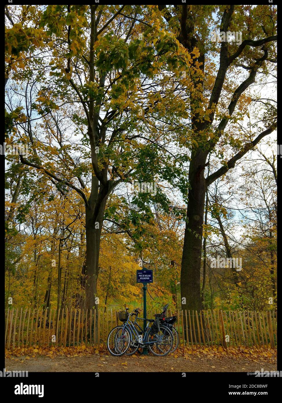 Cycling in the park in Autumn Brussels Belgium Stock Photo
