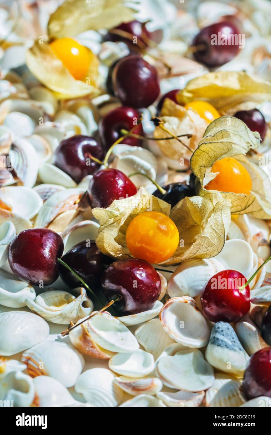 Ripe beauty fresh cherries, physalis and white sea shells like fantasy Stock Photo