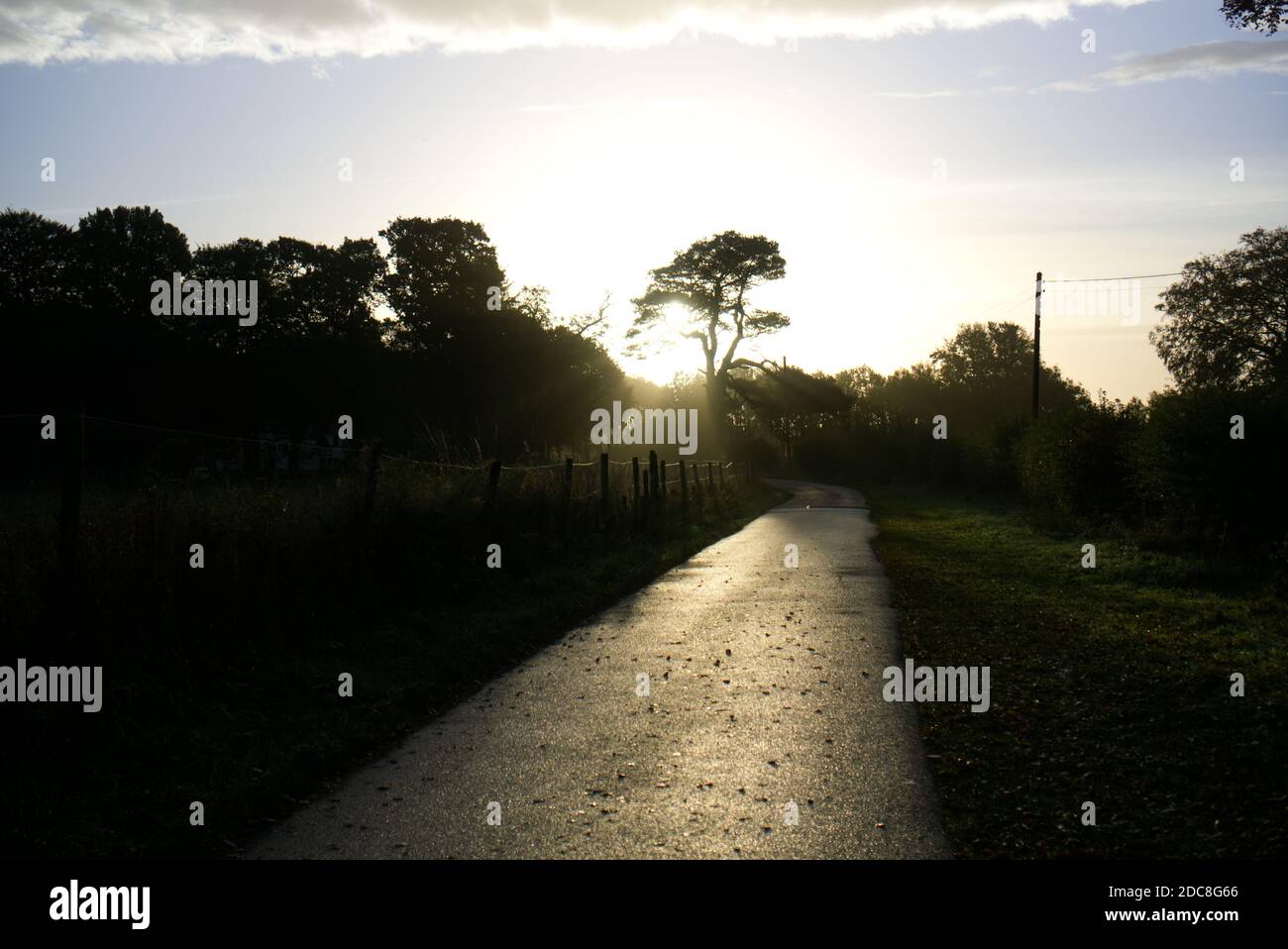 Sunrise on the road Stock Photo - Alamy