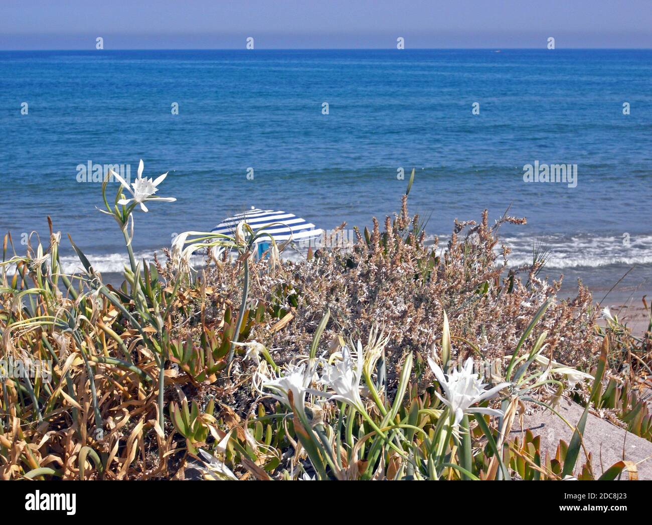 Marina di Sorso beach, Sardinia, Italy Stock Photo