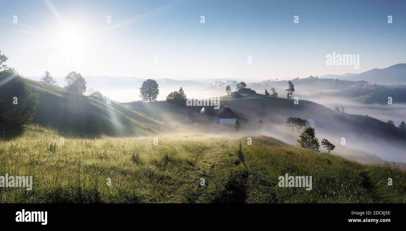 Fog mist grass hi-res stock photography and images - Alamy