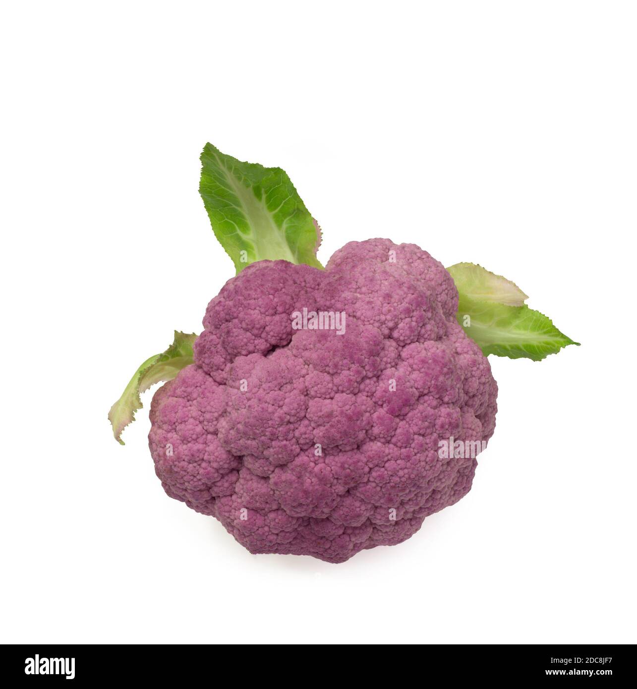 colored cauliflower path isolated on white top view Stock Photo