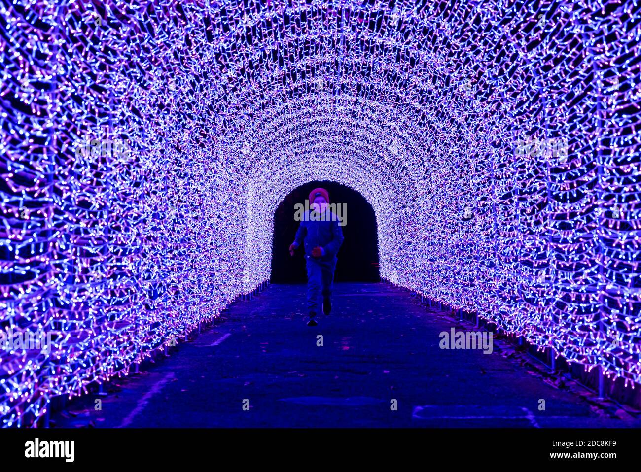 Edinburgh Zoo, Scotland, United Kingdom, 19th November 2020. Edinburgh