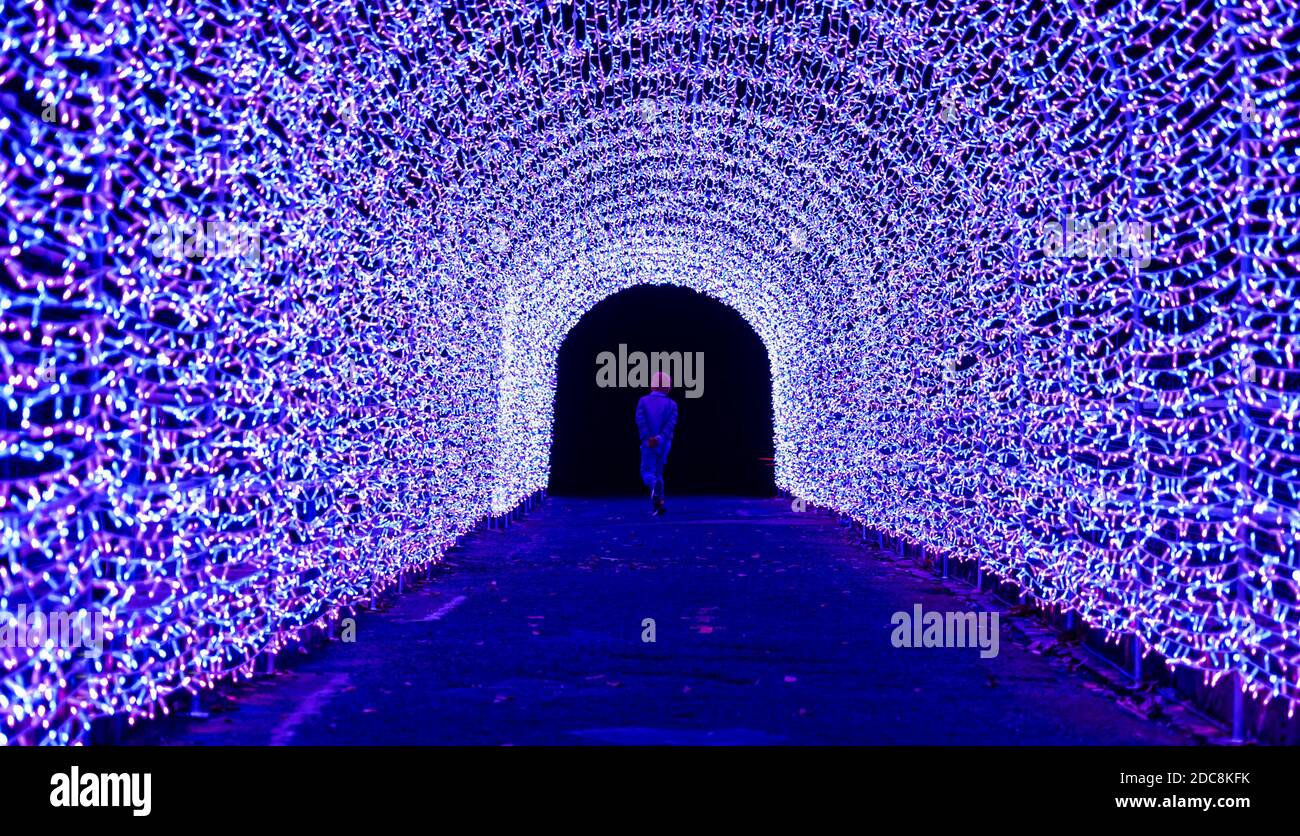 Edinburgh Zoo, Scotland, United Kingdom, 19th November 2020. Edinburgh Zoo Christmas Night The