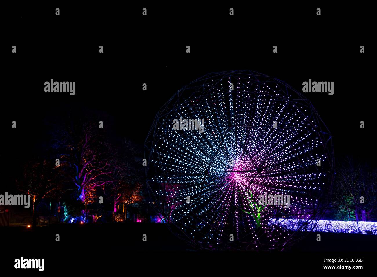 Edinburgh Zoo, Scotland, United Kingdom, 19th November 2020. Edinburgh