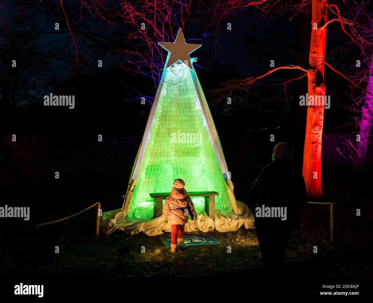 Edinburgh Zoo, Scotland, United Kingdom, 19th November 2020. Edinburgh