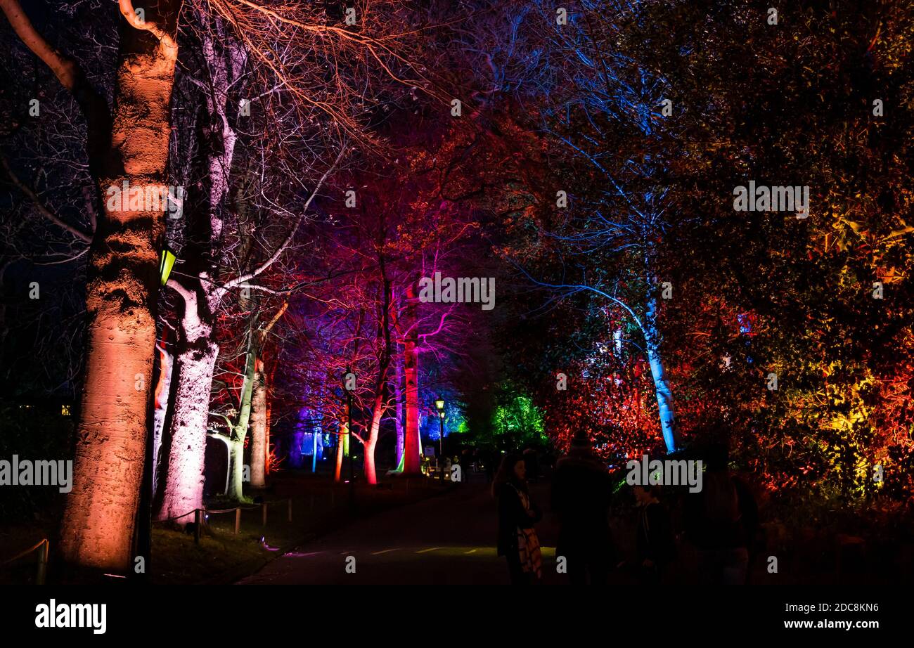 Edinburgh Zoo, Scotland, United Kingdom, 19th November 2020. Edinburgh