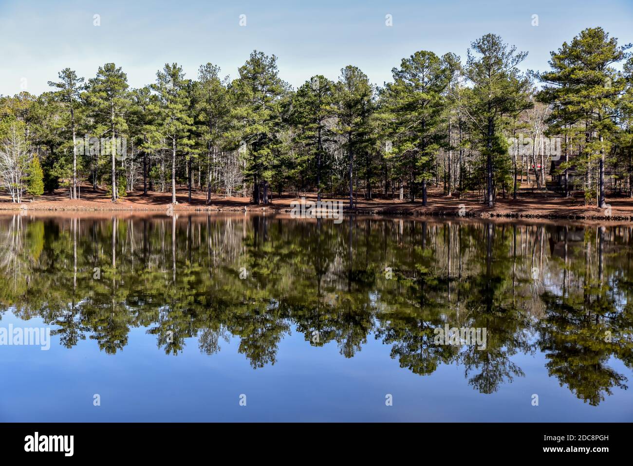 Pine trees reflecting in the water Stock Photo