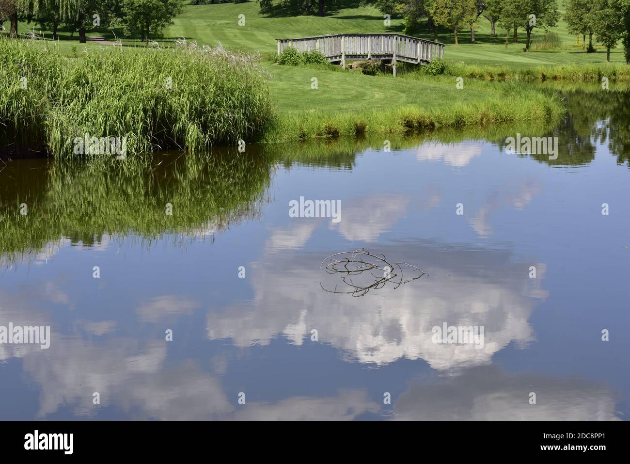 Pond reflecting clouds blue sky hi-res stock photography and images - Alamy