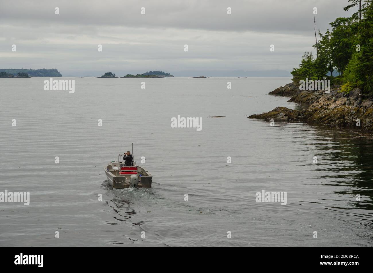 Man in boat heading out to sea looking for wildlife with binoculars. Stock Photo