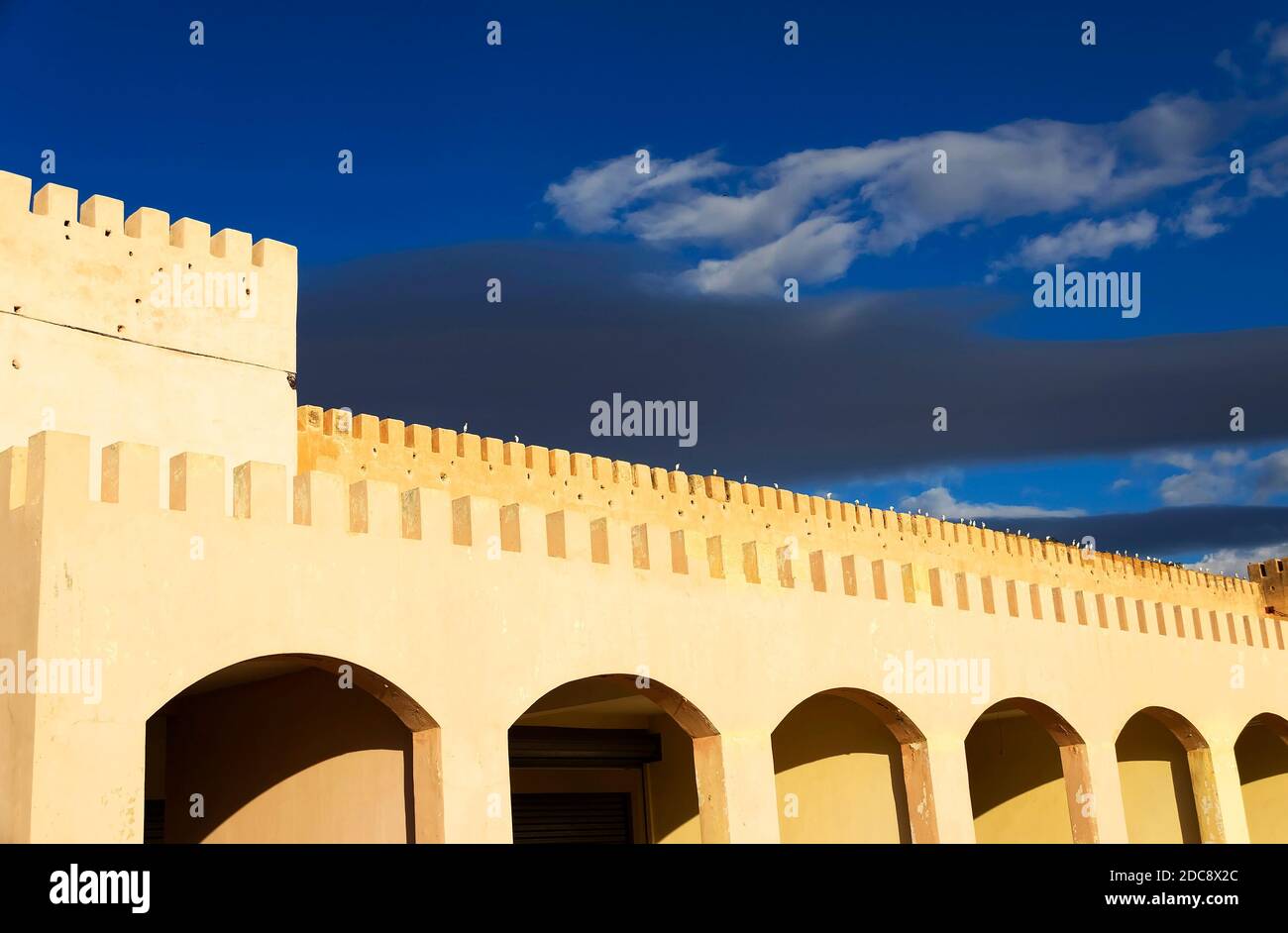 bab el mansour meknes morocco