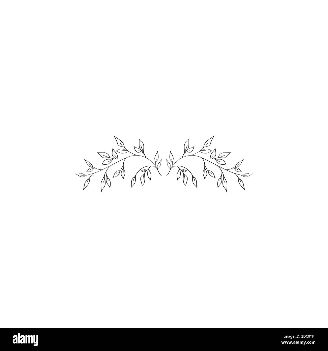 Sketch branch of leaves by hand on an isolated background Stock Vector