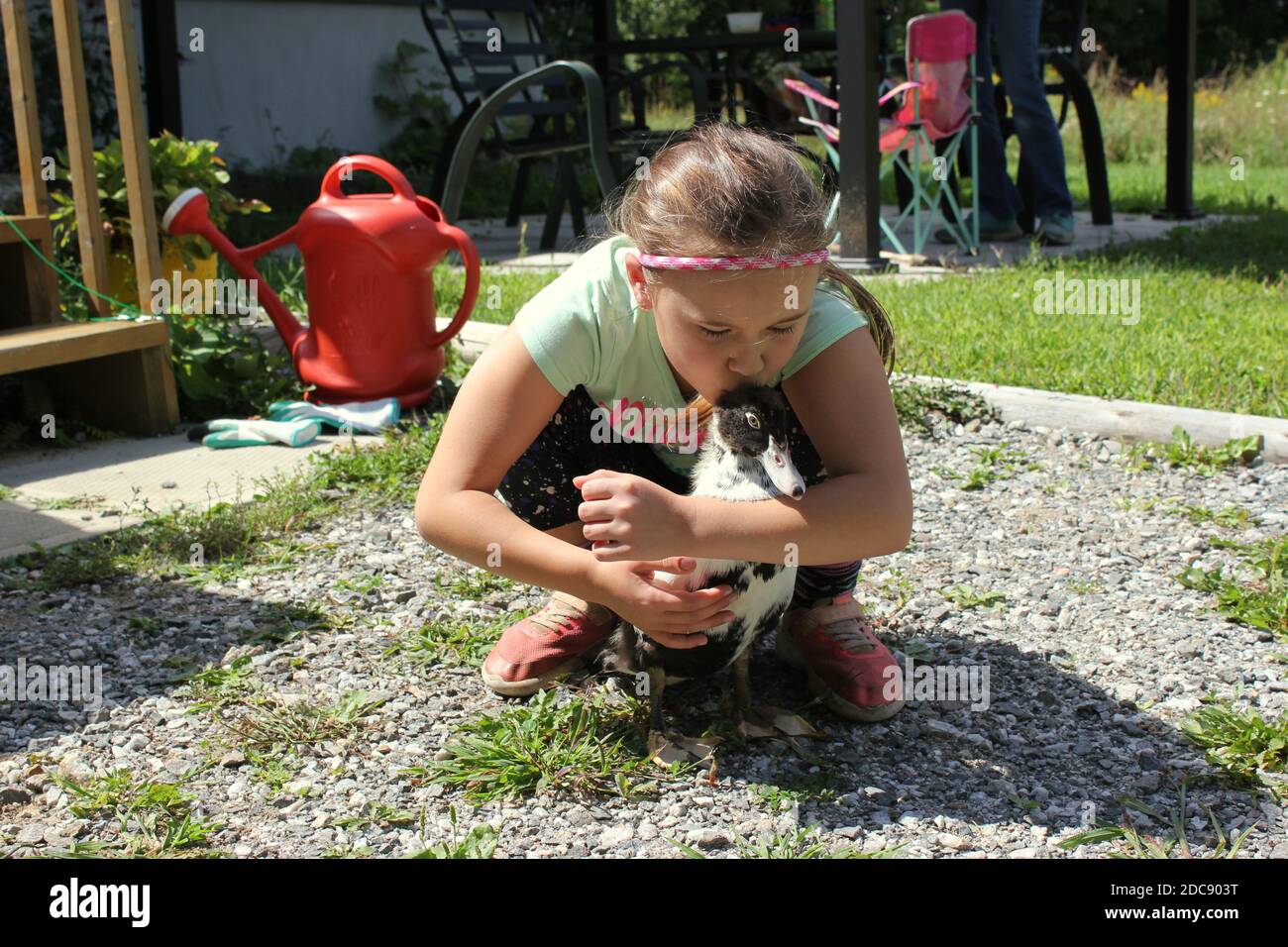Girl holding and kissing her black and white pet duck Stock Photo