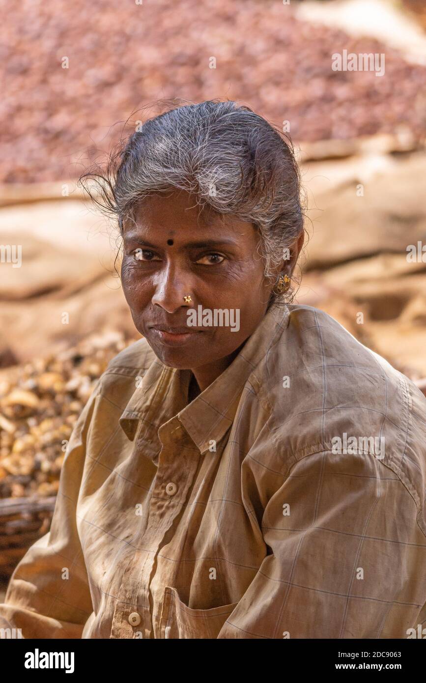 Chikkanayakanahalli, Karnataka, India - November 3, 2013: Closeup portrait of graying woman with beige shirt and nose jewelry. Stock Photo