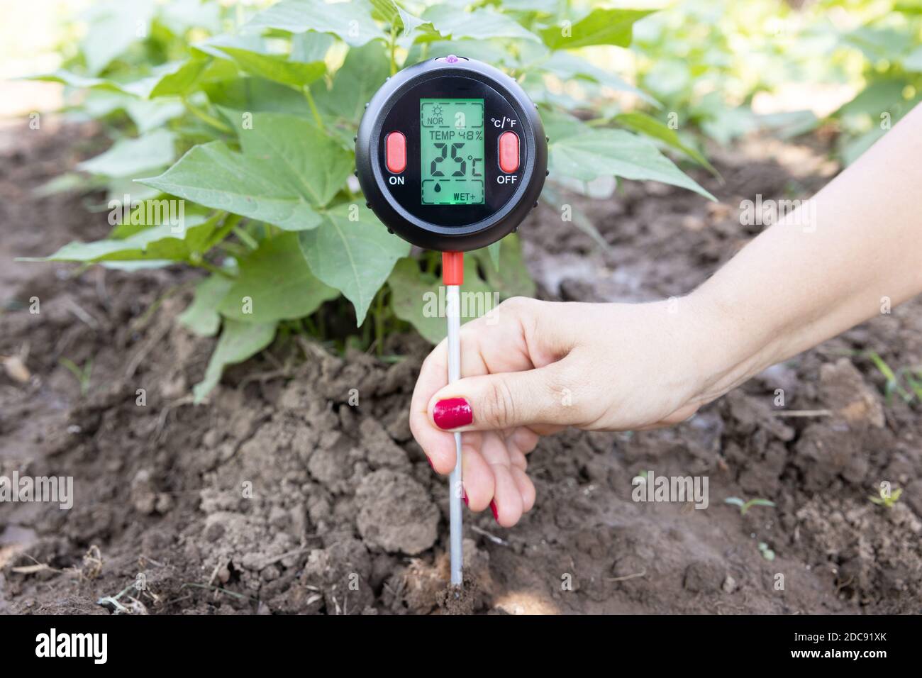 Soil temperature hires stock photography and images Alamy