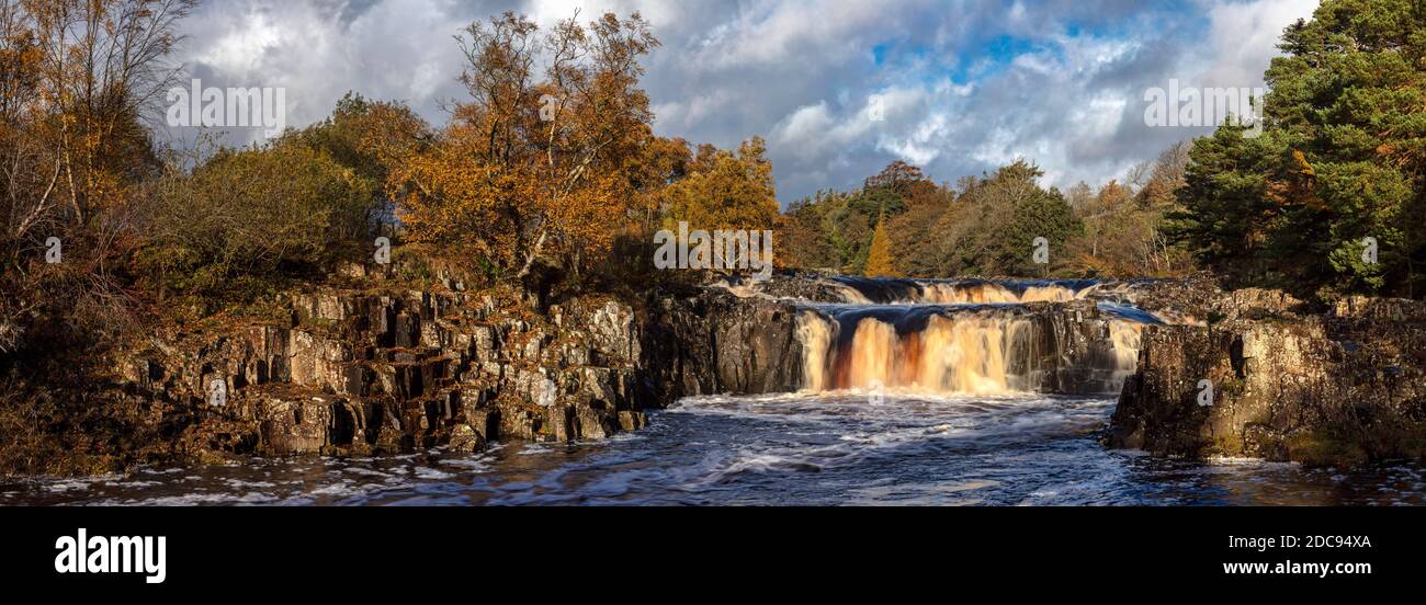 Low Force waterfall in Autumn, Bowlees, Teesdale, County Durham, England, United Kingdom Stock Photo