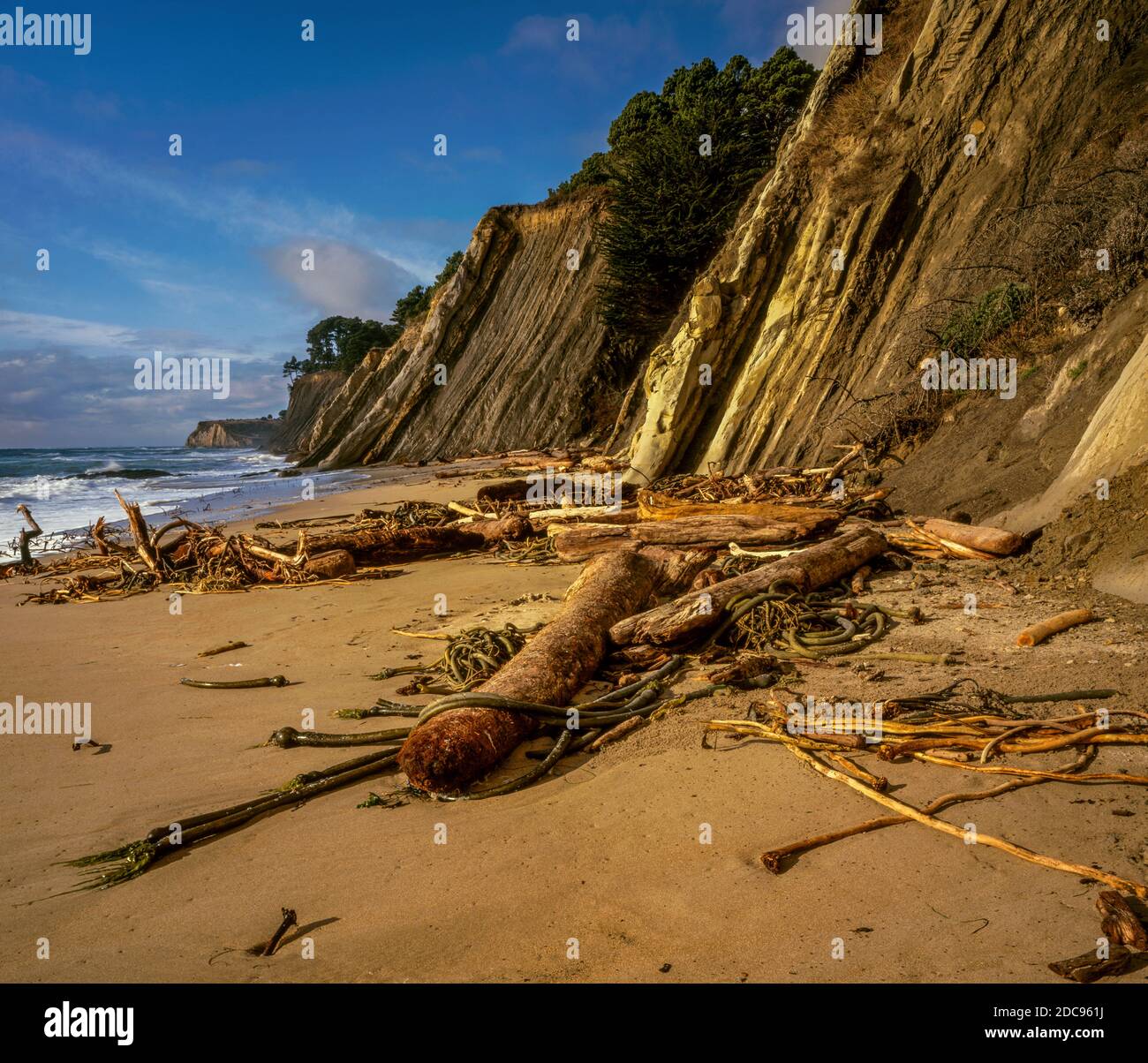 Bowling Ball Beach, Schooner Gulch State Beach, Mendocino County