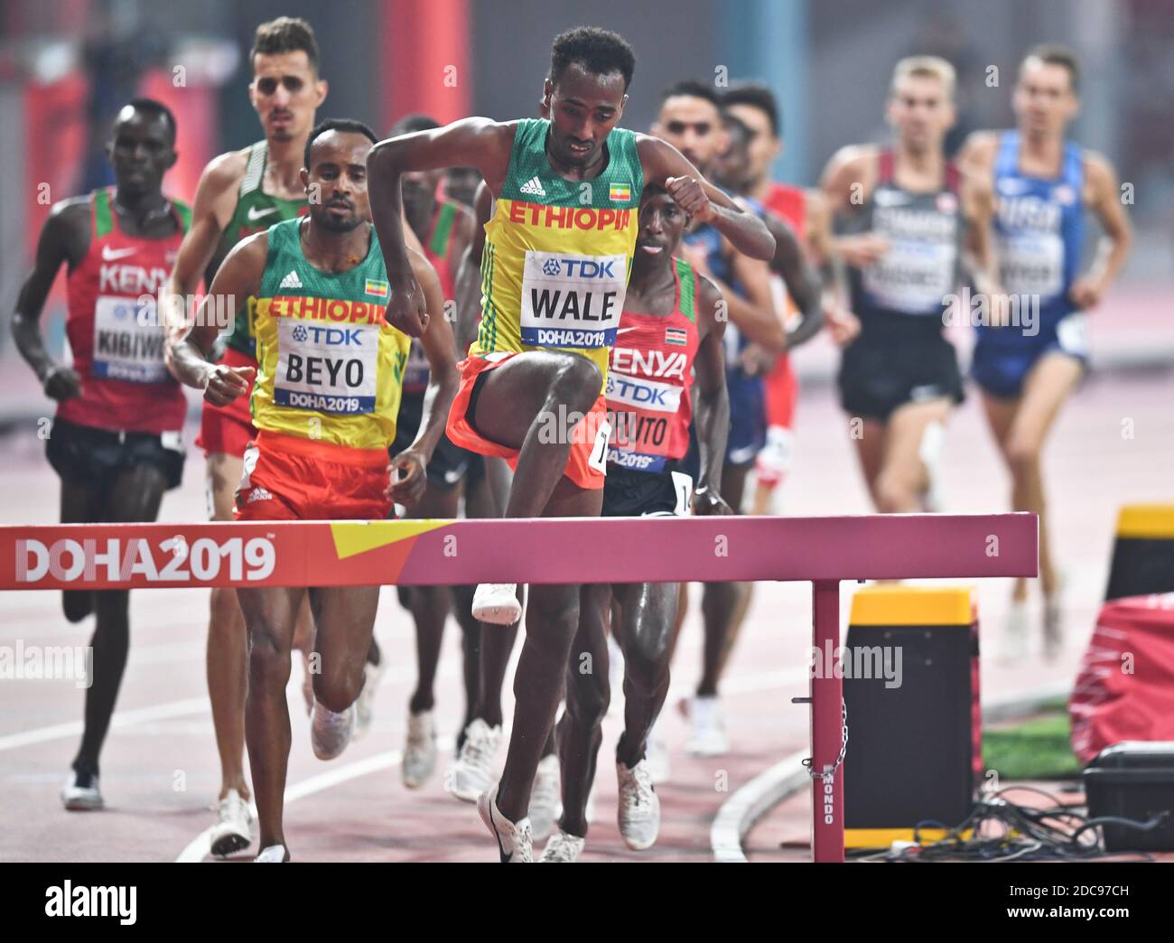 Wale High Resolution Stock Photography And Images Alamy