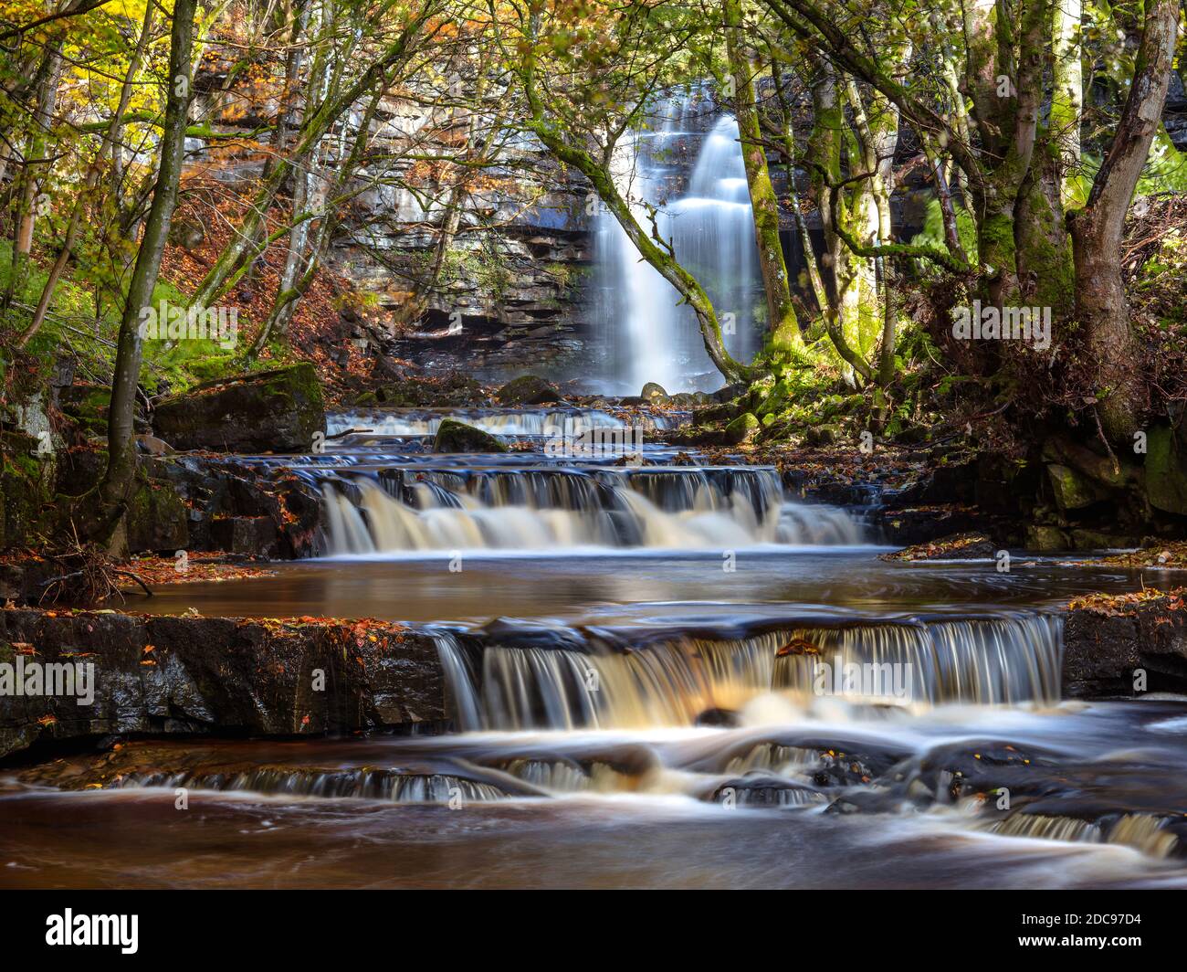 Autumn colours at Summerhill Force near Bowlees, Teesdale, County Durham, England, United Kingdom Stock Photo