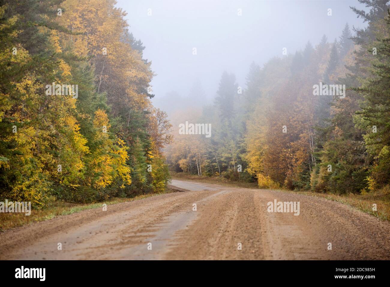 Autumn Northern Saskatchewan wilderness prestine rural scenic Stock Photo