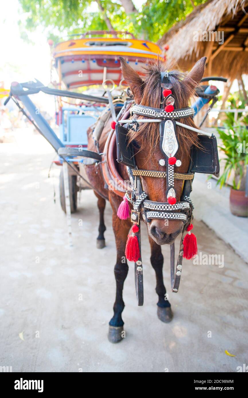 Horse and Cart on Gili Trawangan, Gili Isles, Indonesia, Asia Stock Photo
