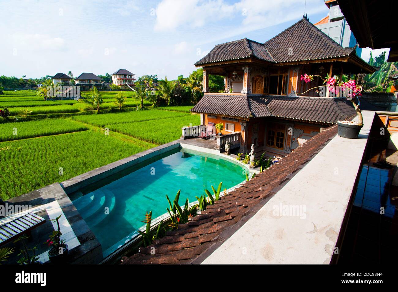 Luxury Accommodation with private swimming pool and rice paddy fields in Ubud, Bali, Indonesia, Asia Stock Photo