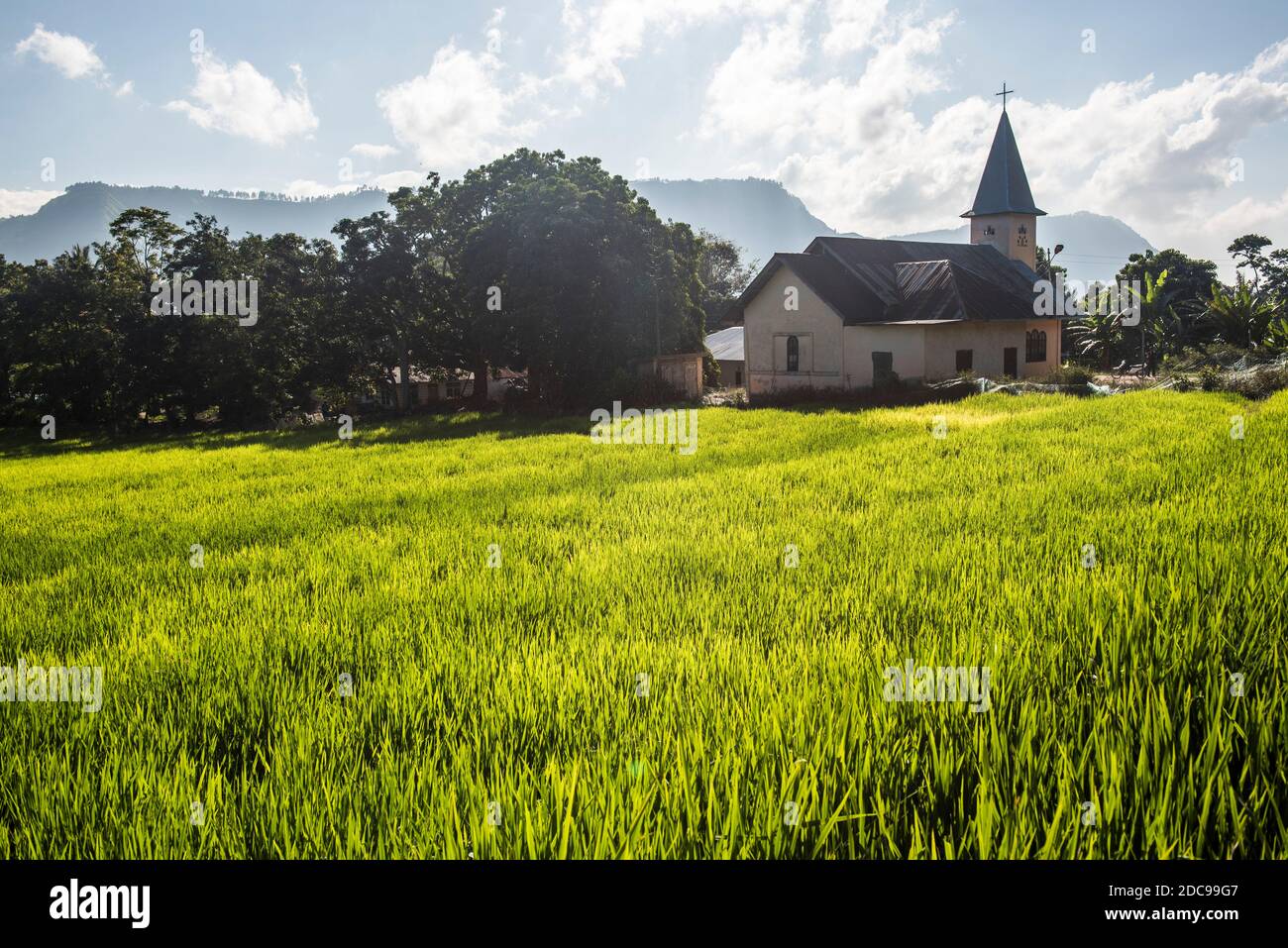 Rice paddy fields and a church at Lake Toba (Danau Toba), North Sumatra, Indonesia, Asia Stock Photo