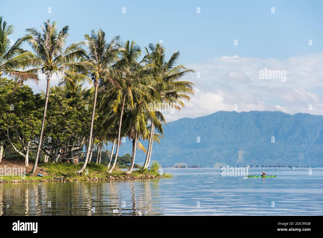 Fisherman and palm trees, Lake Toba (Danau Toba), North Sumatra, Indonesia, Asia Stock Photo