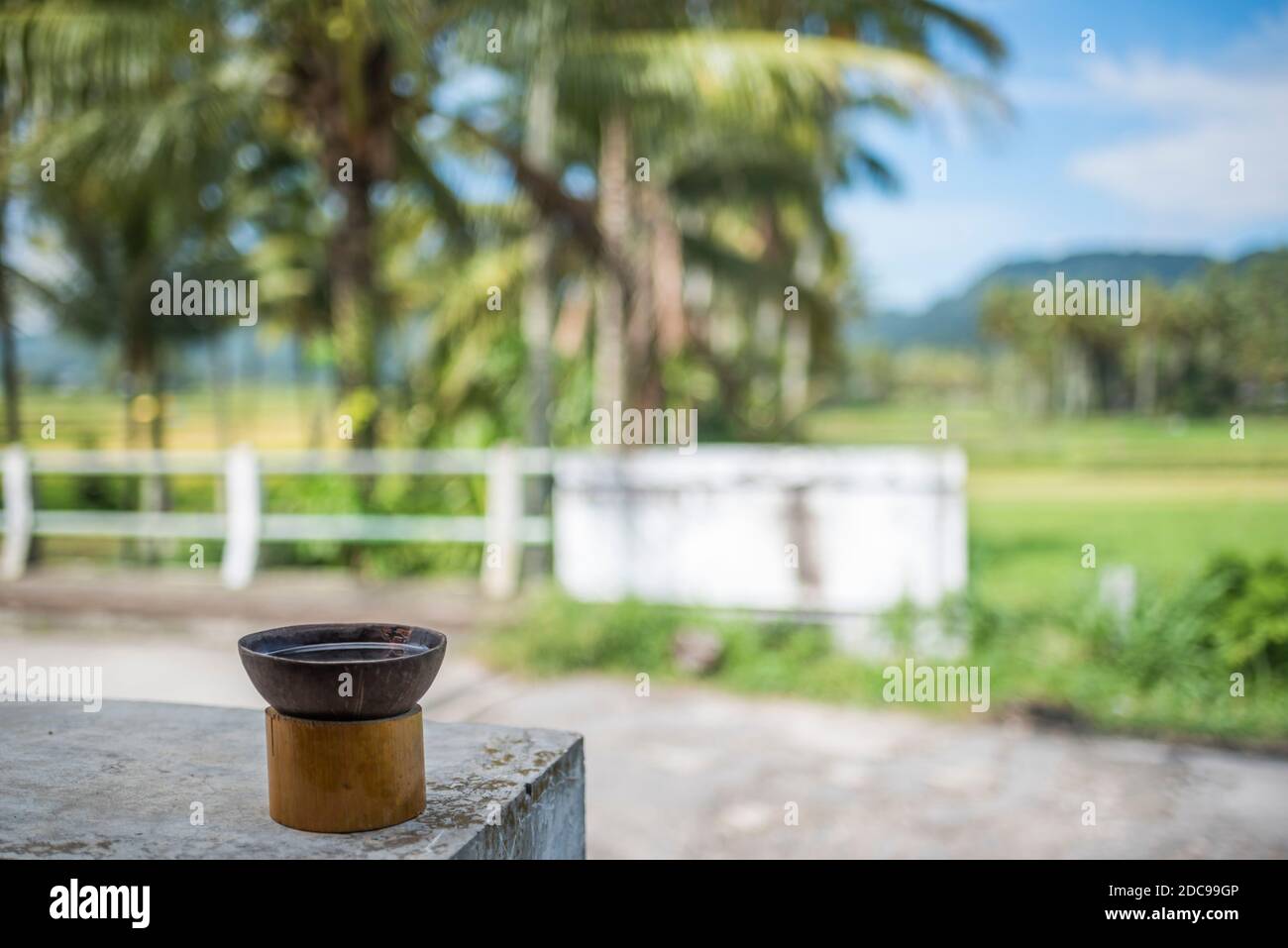 Traditional Sumatran coffee leaf tea, Bukittinggi, West Sumatra, Indonesia, Asia Stock Photo