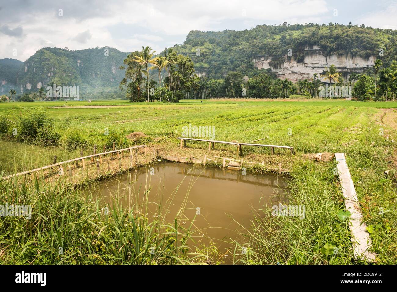 Harau Valley, Bukittinggi, West Sumatra, Indonesia,