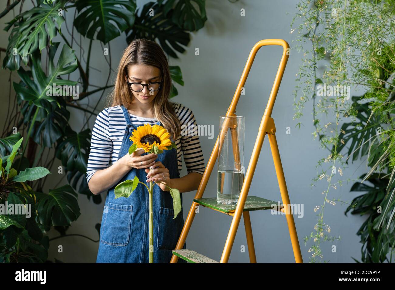 Florist woman surrounded by tropical plants holding sunflower, standing near the orange stepladder in her flower store. Stock Photo