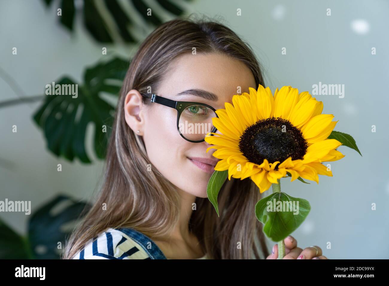 Florist woman in glasses holding and hiding behind a sunflower, looking at camera. Stock Photo