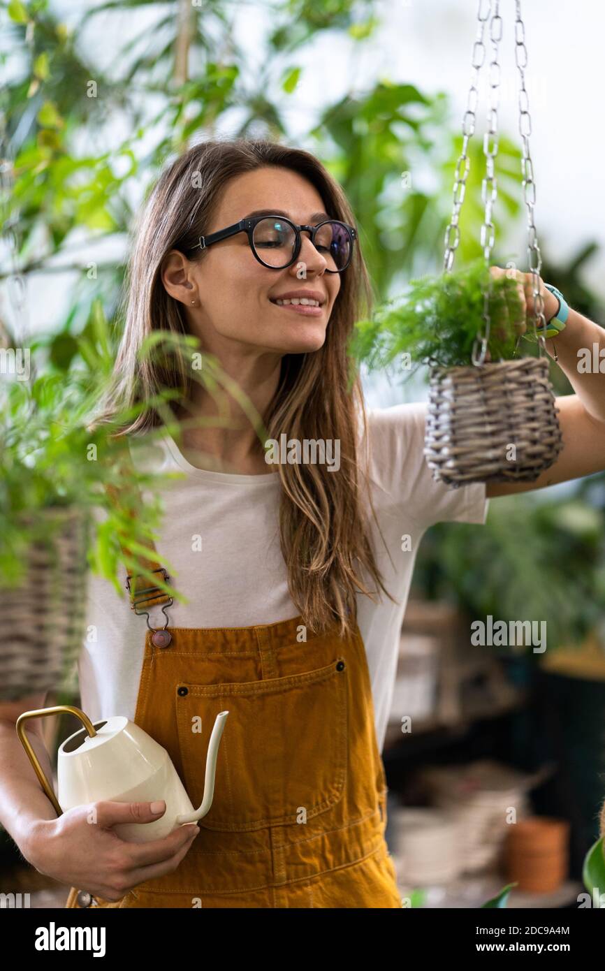 Woman gardener in orange overalls watering potted houseplant in greenhouse surrounded by plants and pots, using white watering can metal. Home gardeni Stock Photo