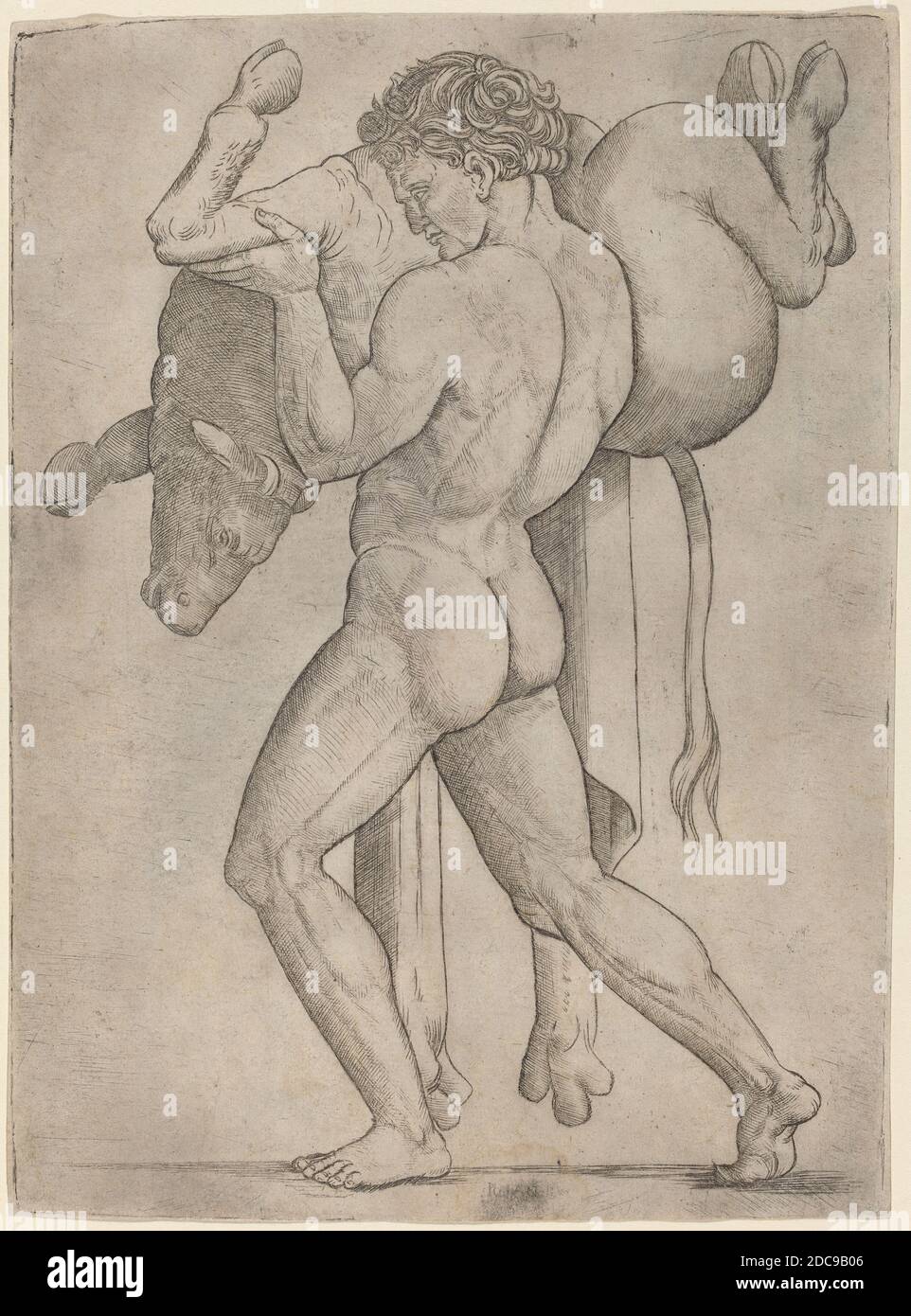 Giovanni Antonio da Brescia, (artist), Italian, active c. 1490 - 1525 or after, Hercules and the Cretan Bull, c. 1514/1515, engraving, sheet: 21.4 x 15.7 cm (8 7/16 x 6 3/16 in Stock Photo
