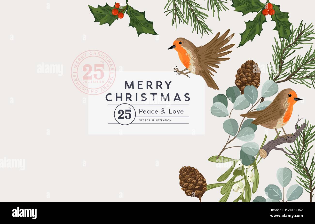 Winter christmas vintage layout design with robin birds and natural foliage including holly, pine, mistletoe and eucalyptus. Vector illustration. Stock Vector