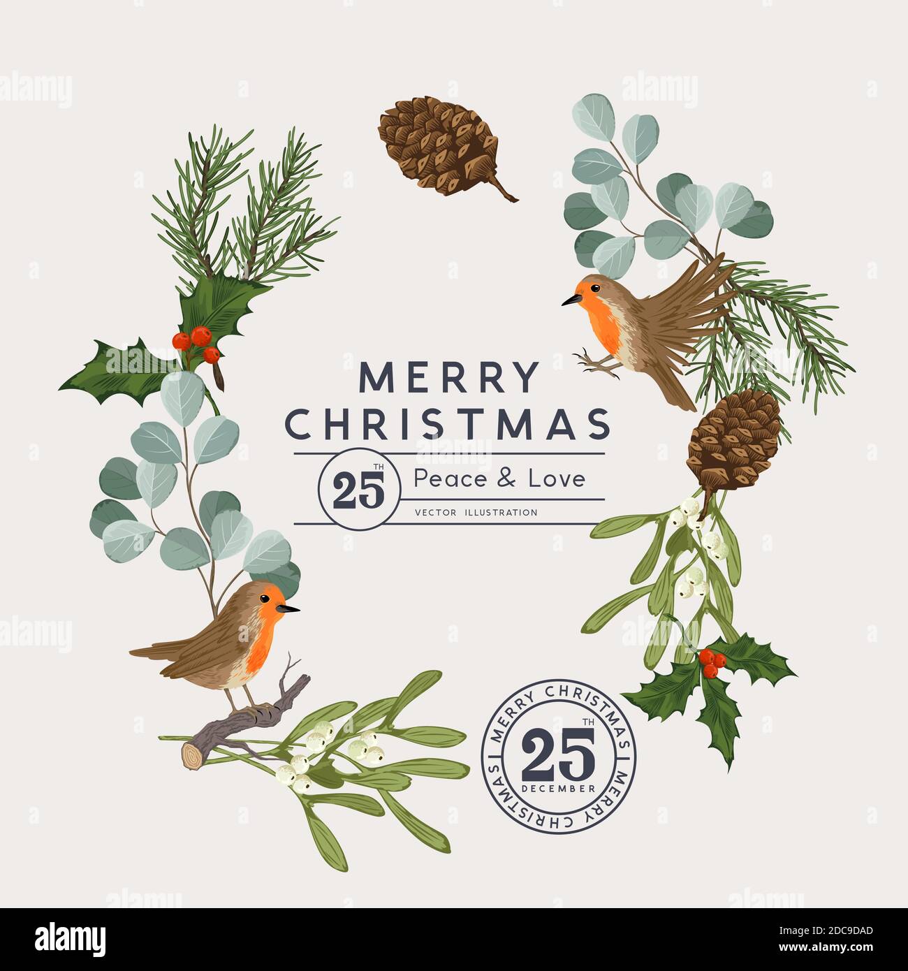 A vintage christmas natural illustration frame wreath with winter Robin birds and botanical floral plants, holly pines, mistletoe and eucalyptus leave Stock Vector
