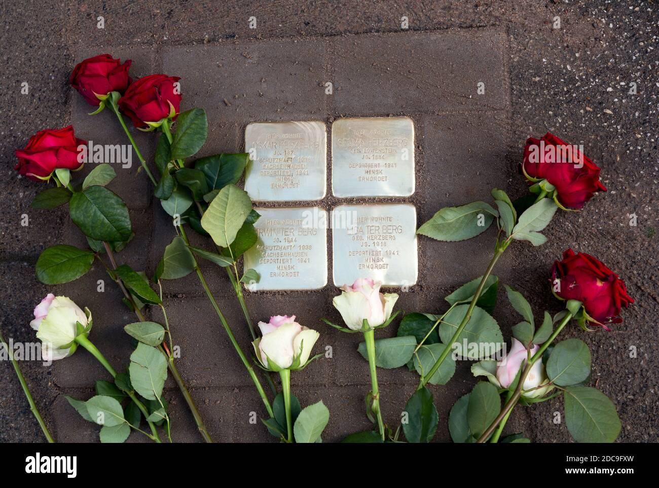 13.10.2020, Bremen, Bremen, Germany - Newly laid Stumbling Stone for Jewish deportees of the Nazi era. Stumbling Stones give names to deportees at the Stock Photo