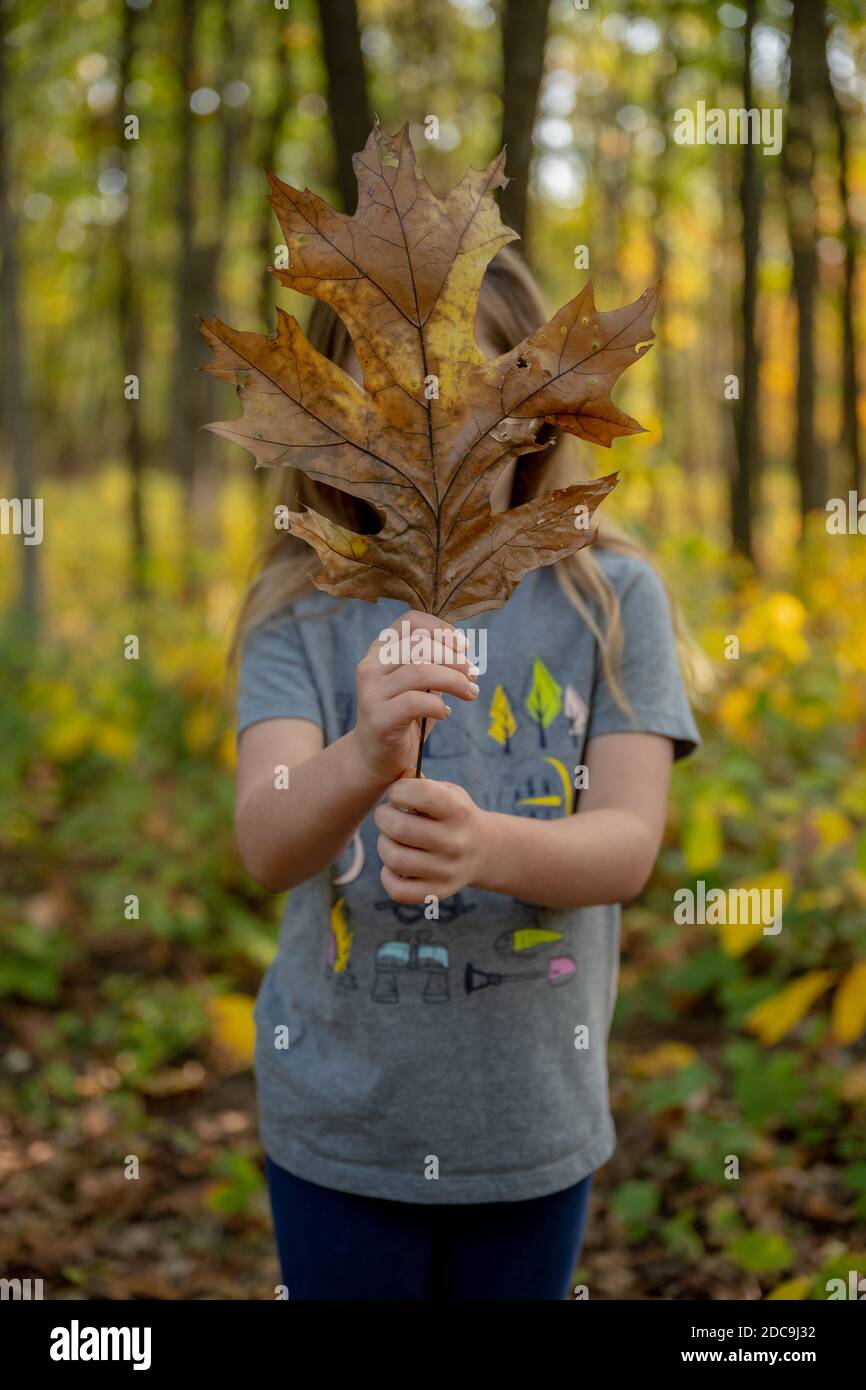 Young Girl Holds Up Giant Fallen Leaf to cover her face Stock Photo - Alamy