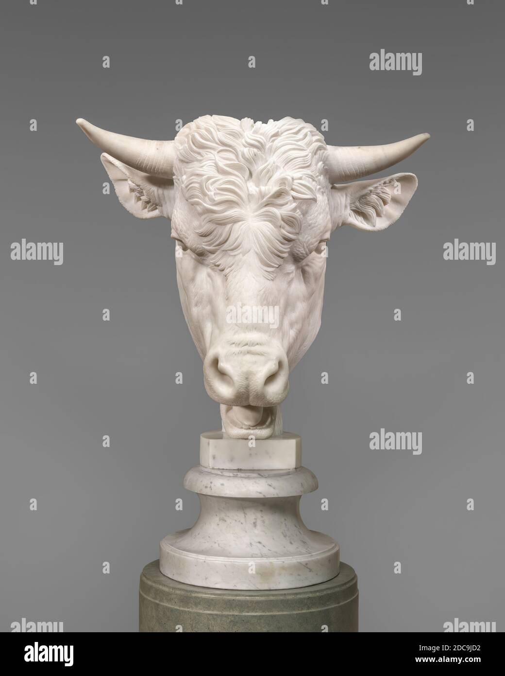 Gaetano Monti Artist Milanese C 1750 17 Head Of A Bull 14 Marble Overall 71 X 70 5 X 68 9 Cm 5 Lb 27 15 16 X 27 3 4 X 27 1 8 In 235 87 Kg Stock Photo Alamy