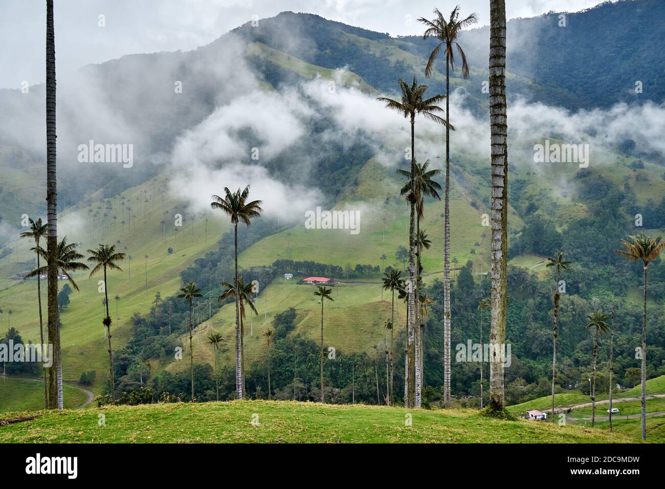 Colombia country side hi-res stock photography and images - Alamy