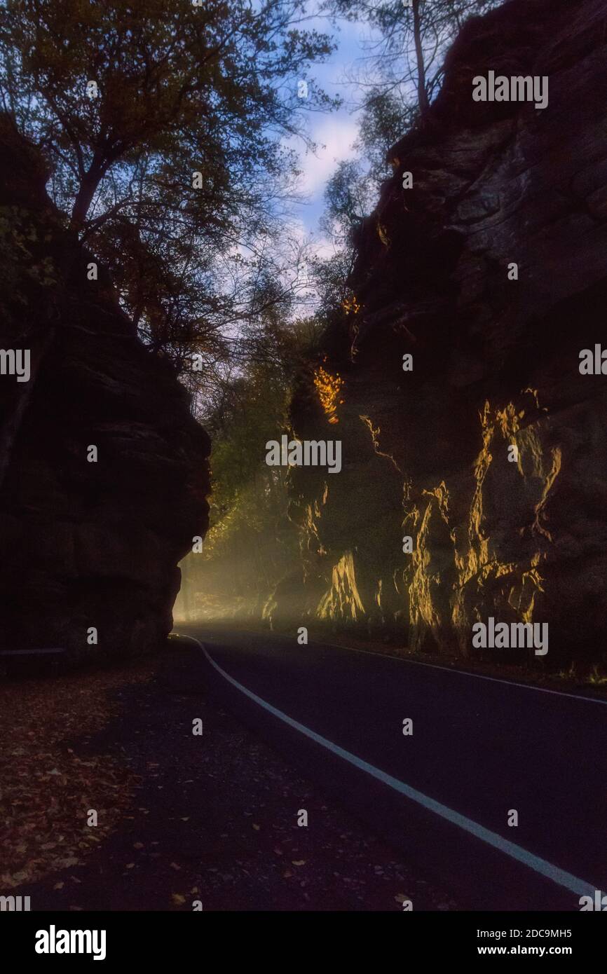 Mystic foggy forest road hi-res stock photography and images - Alamy
