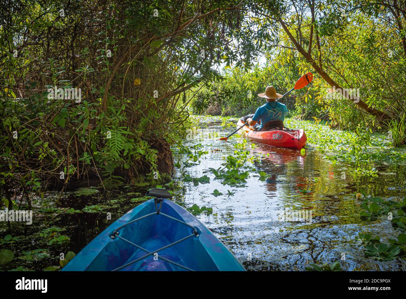 Kayaking on the Guana River in Ponte Vedra Beach, Florida. (USA) Stock Photo