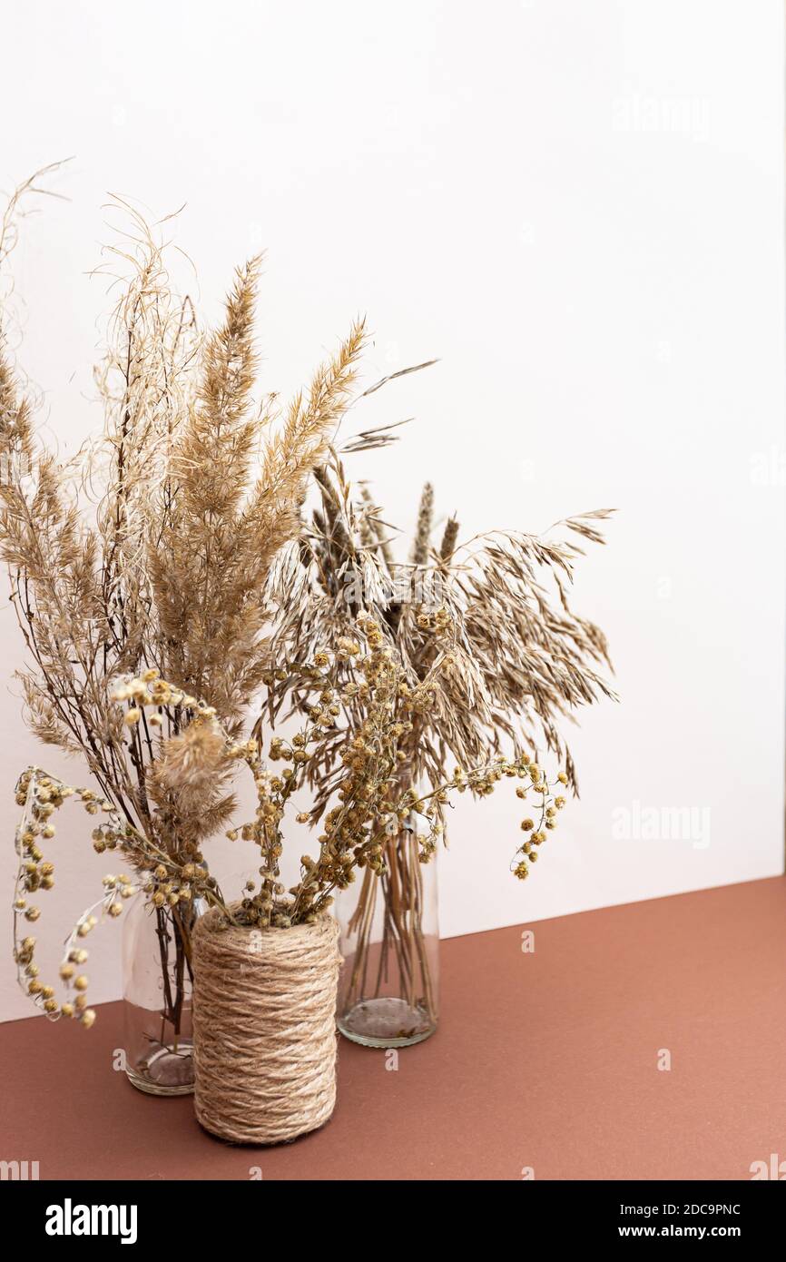 Dried flowers. Field dry spikelets and herbs in vases on a light