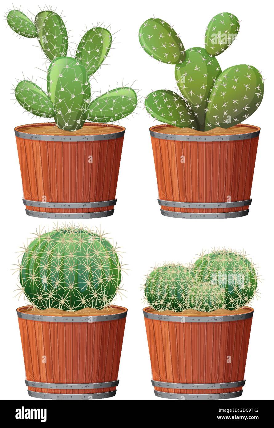 Set of cactus in a wooden pot isolated on white background illustration ...