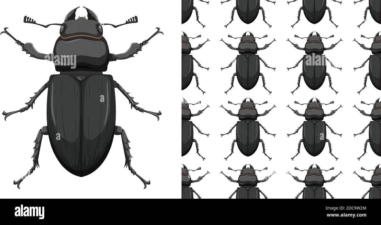 Beetle insect and seamless background illustration Stock Vector Image ...