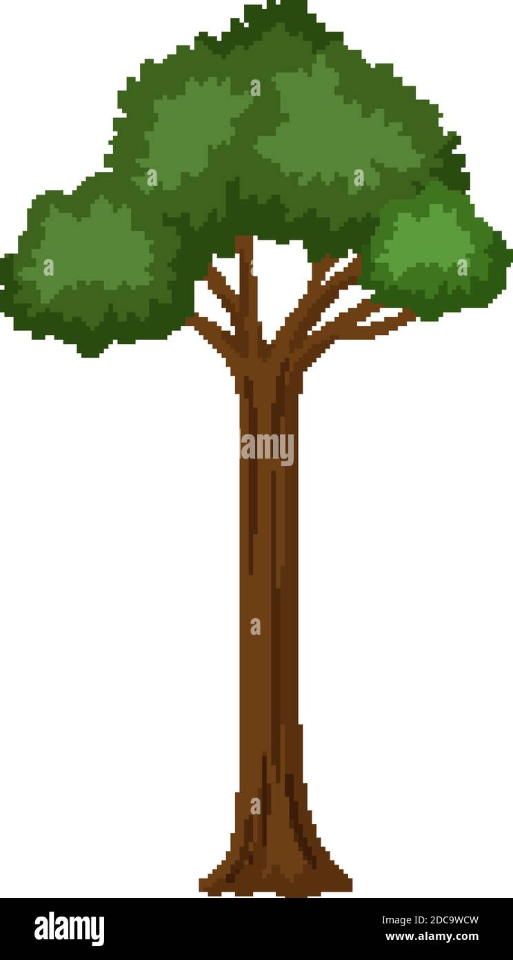 Isolated tree on white background illustration Stock Vector Image & Art ...
