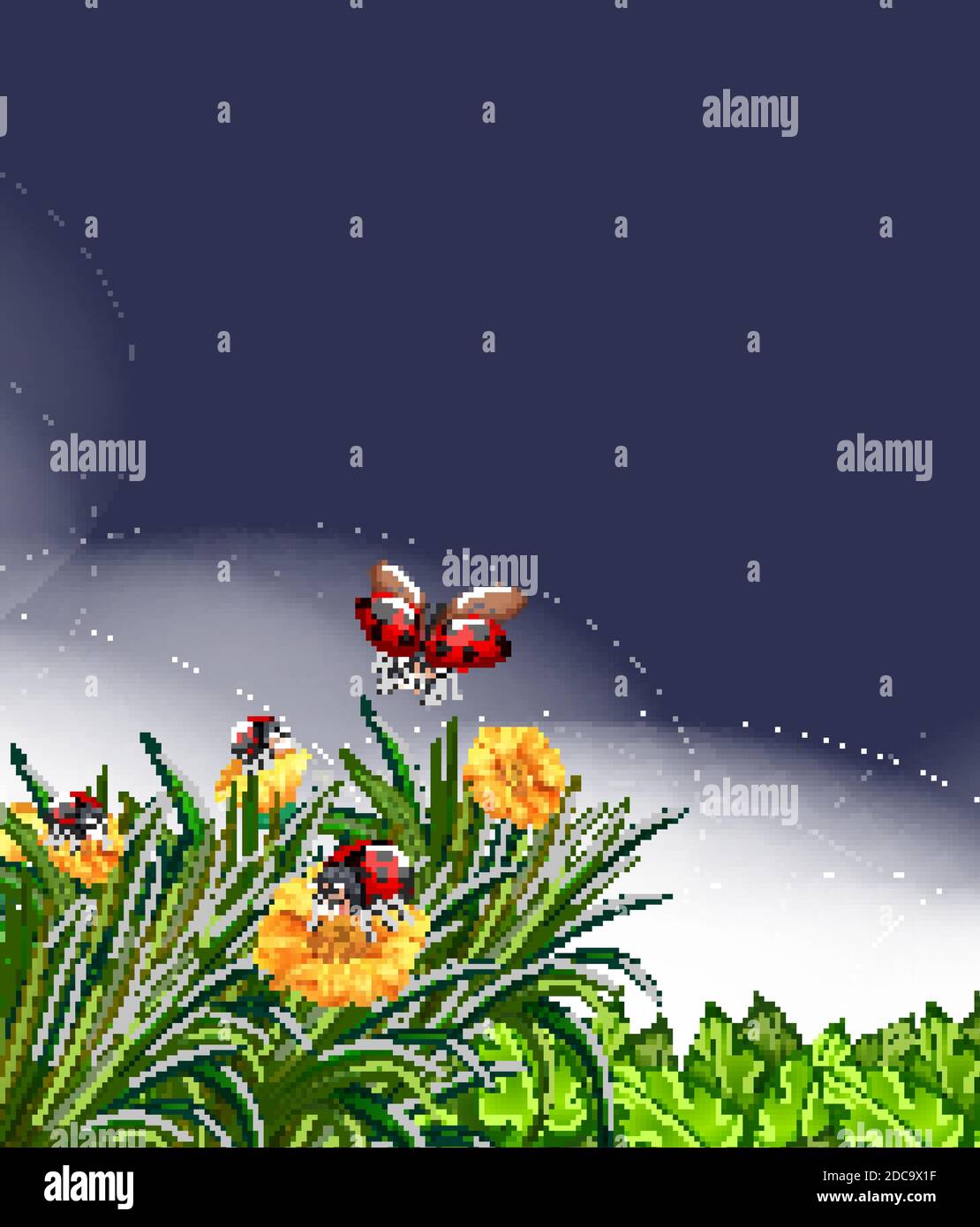 Blank scene with ladybugs in the garden with some flowers at night ...