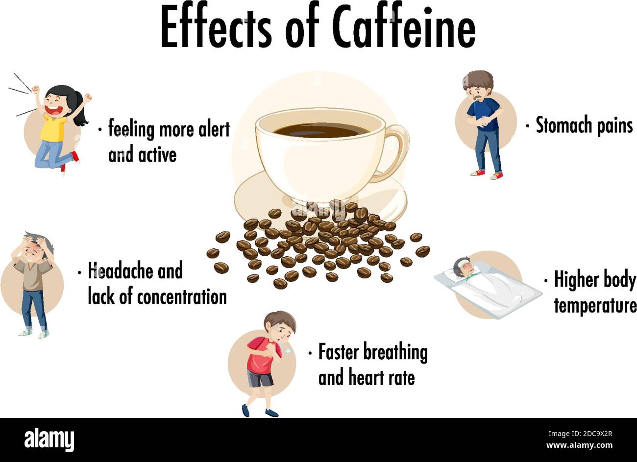 Effects of caffeine information infographic illustration Stock Vector