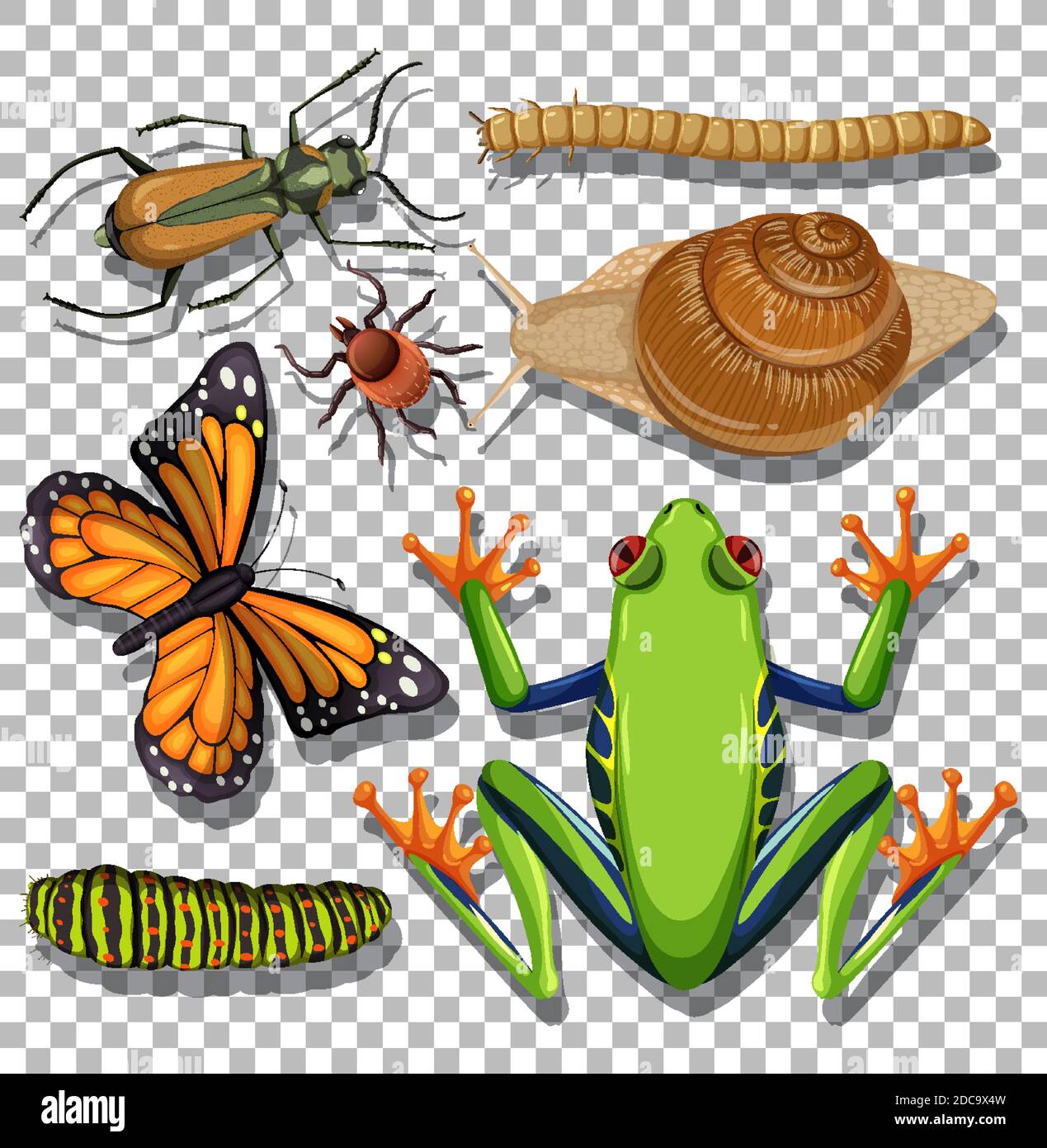 Set of different insects on transparent background illustration Stock ...